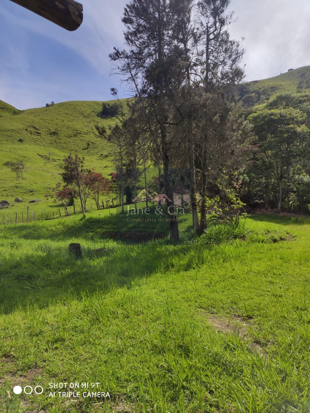 Sítio à venda com 3 quartos, 870000m² - Foto 19