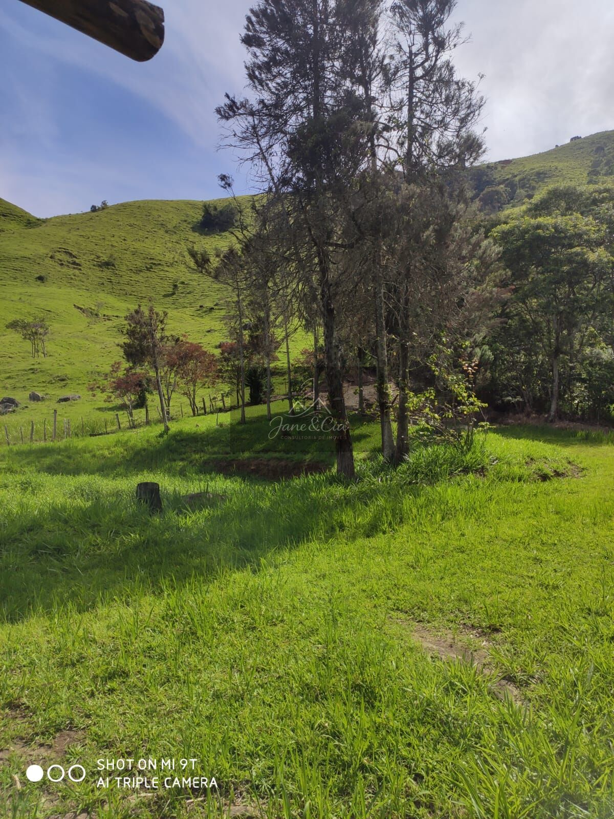 Sítio à venda com 3 quartos, 870000m² - Foto 19