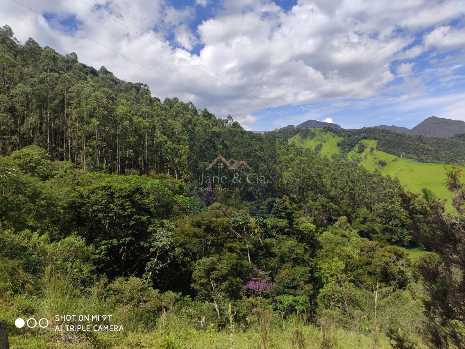 Sítio à venda com 3 quartos, 870000m² - Foto 11