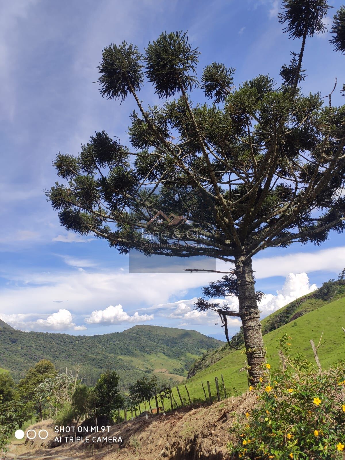 Sítio à venda com 3 quartos, 870000m² - Foto 3