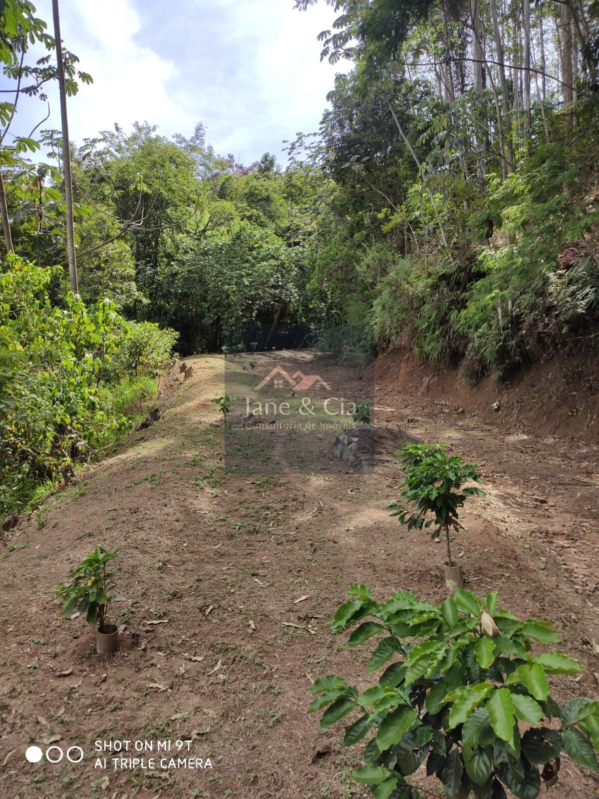 Sítio à venda com 3 quartos, 870000m² - Foto 13
