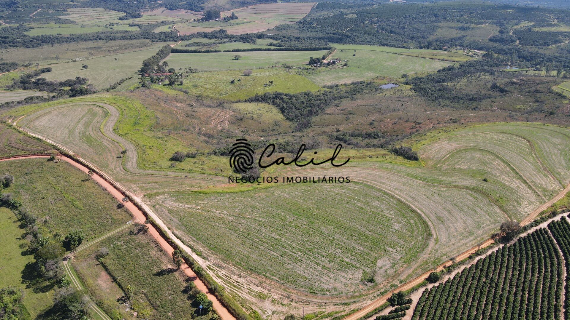 Fazenda-Sítio-Chácara, 178 hectares - Foto 6