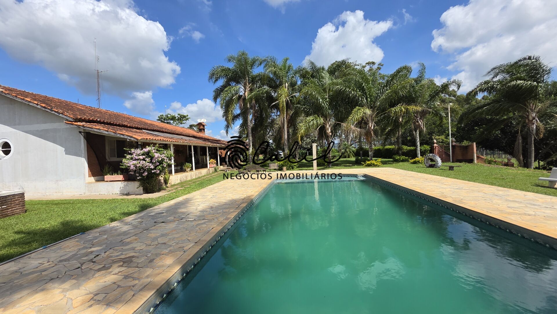 Fazenda-Sítio-Chácara, 178 hectares - Foto 3