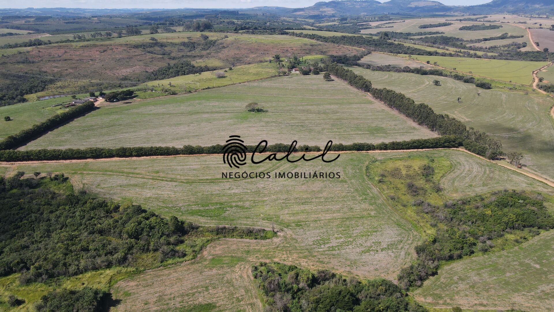 Fazenda-Sítio-Chácara, 178 hectares - Foto 15