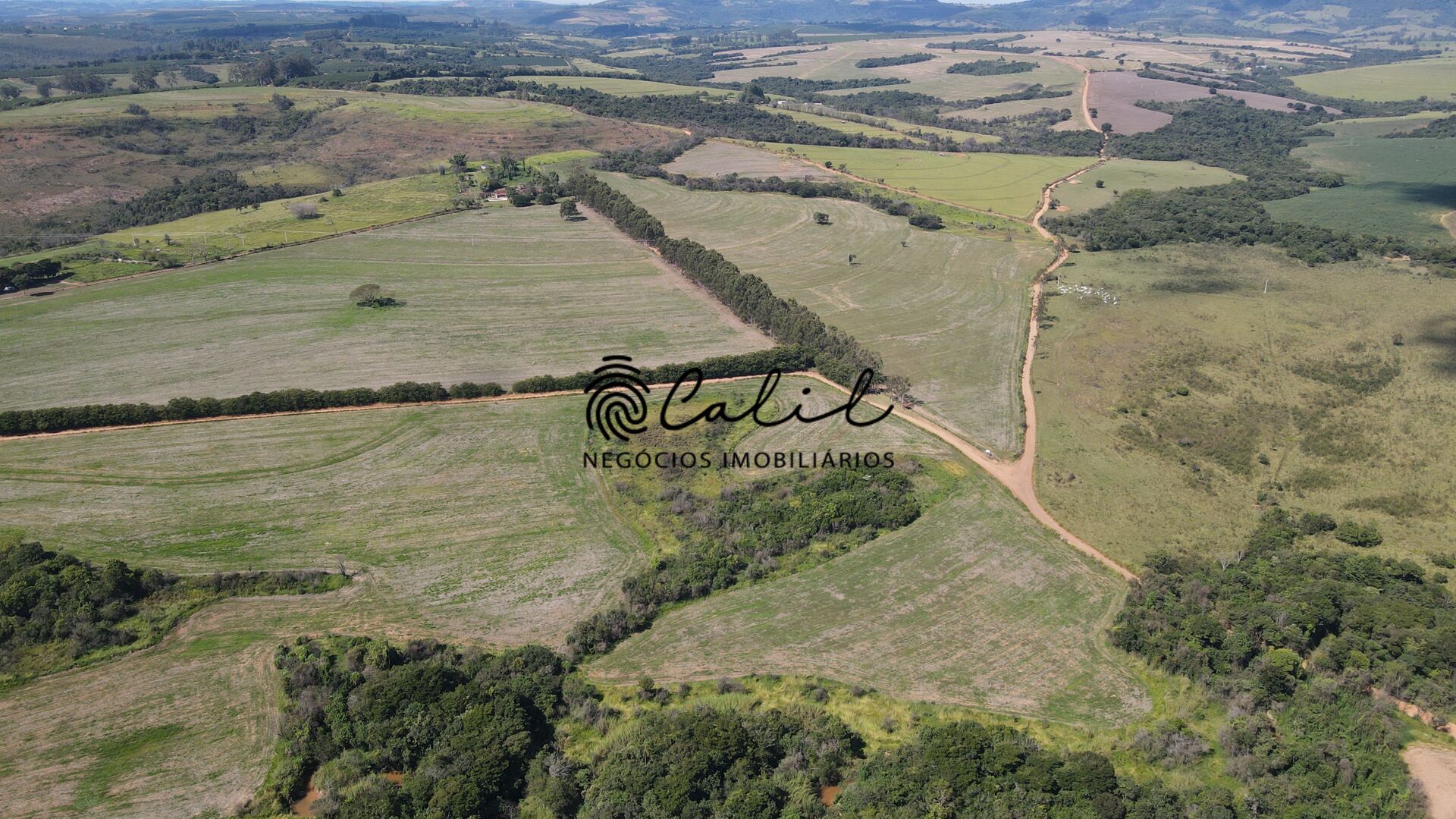 Fazenda-Sítio-Chácara, 178 hectares - Foto 17