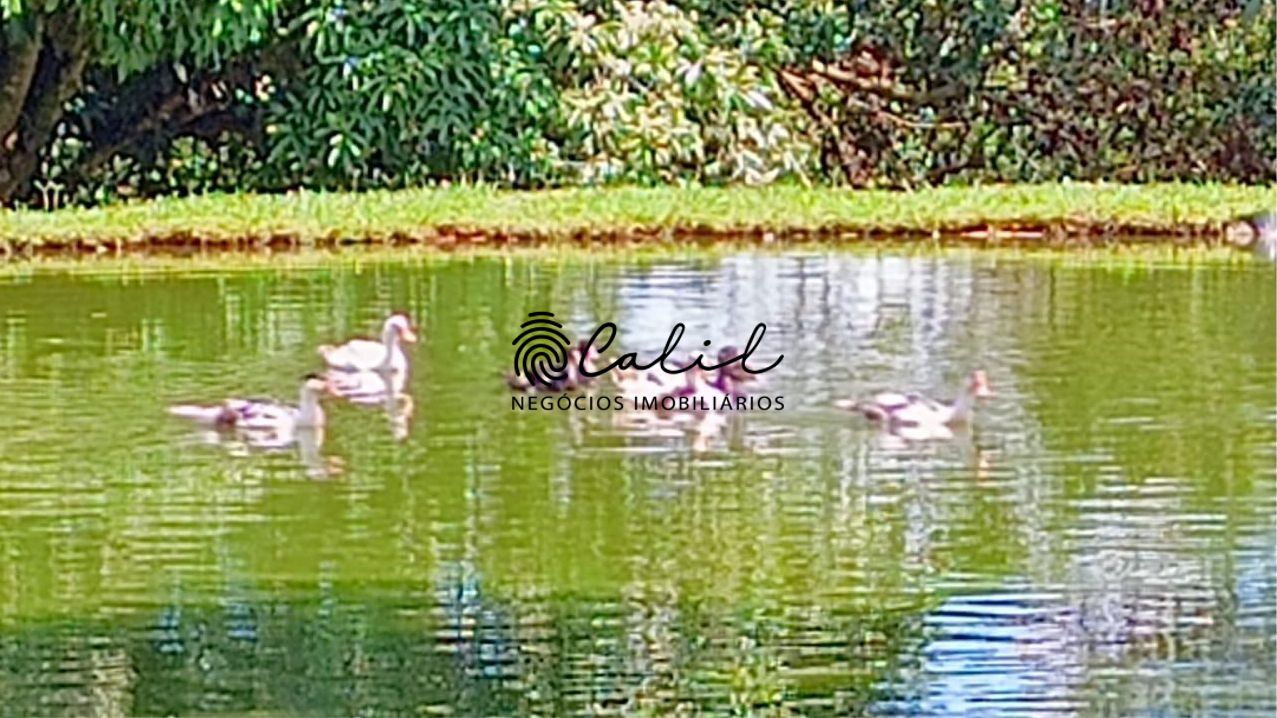 Sítio, 5 quartos, 4 hectares - Foto 17