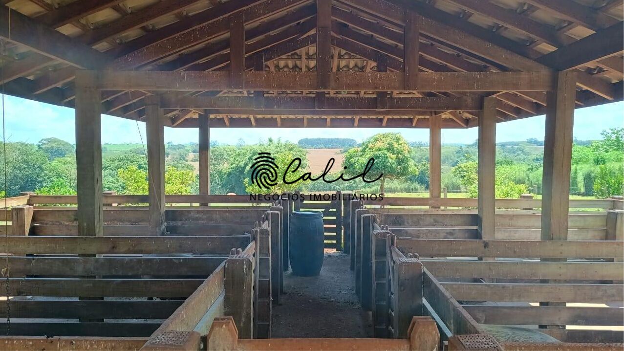 Sítio, 5 quartos, 4 hectares - Foto 13