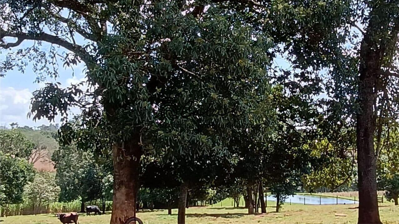 Sítio, 5 quartos, 4 hectares - Foto 30