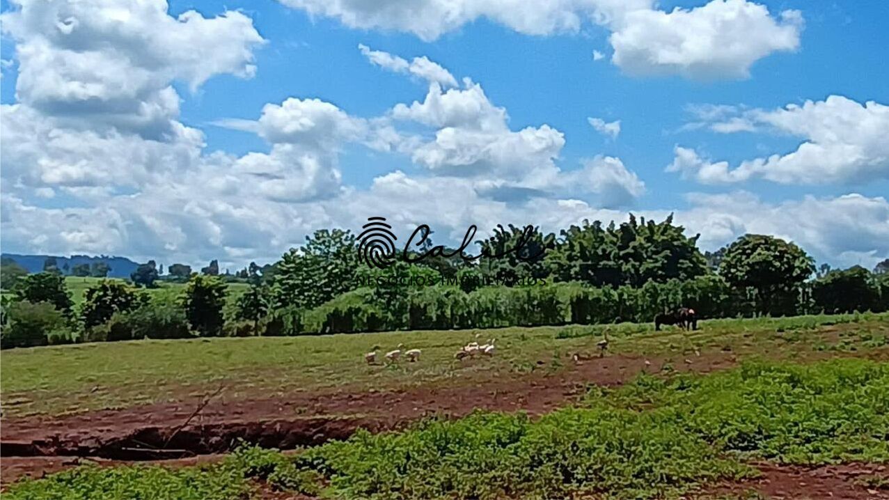 Sítio, 5 quartos, 4 hectares - Foto 6