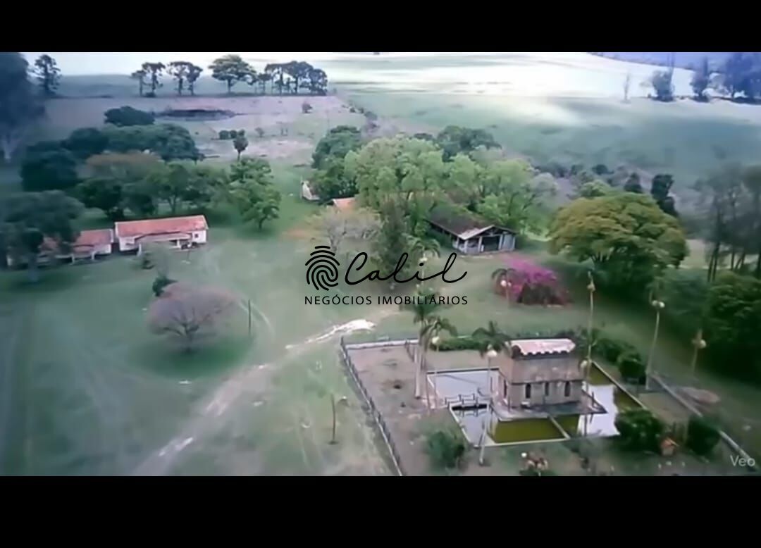 Fazenda, 317 hectares - Foto 4