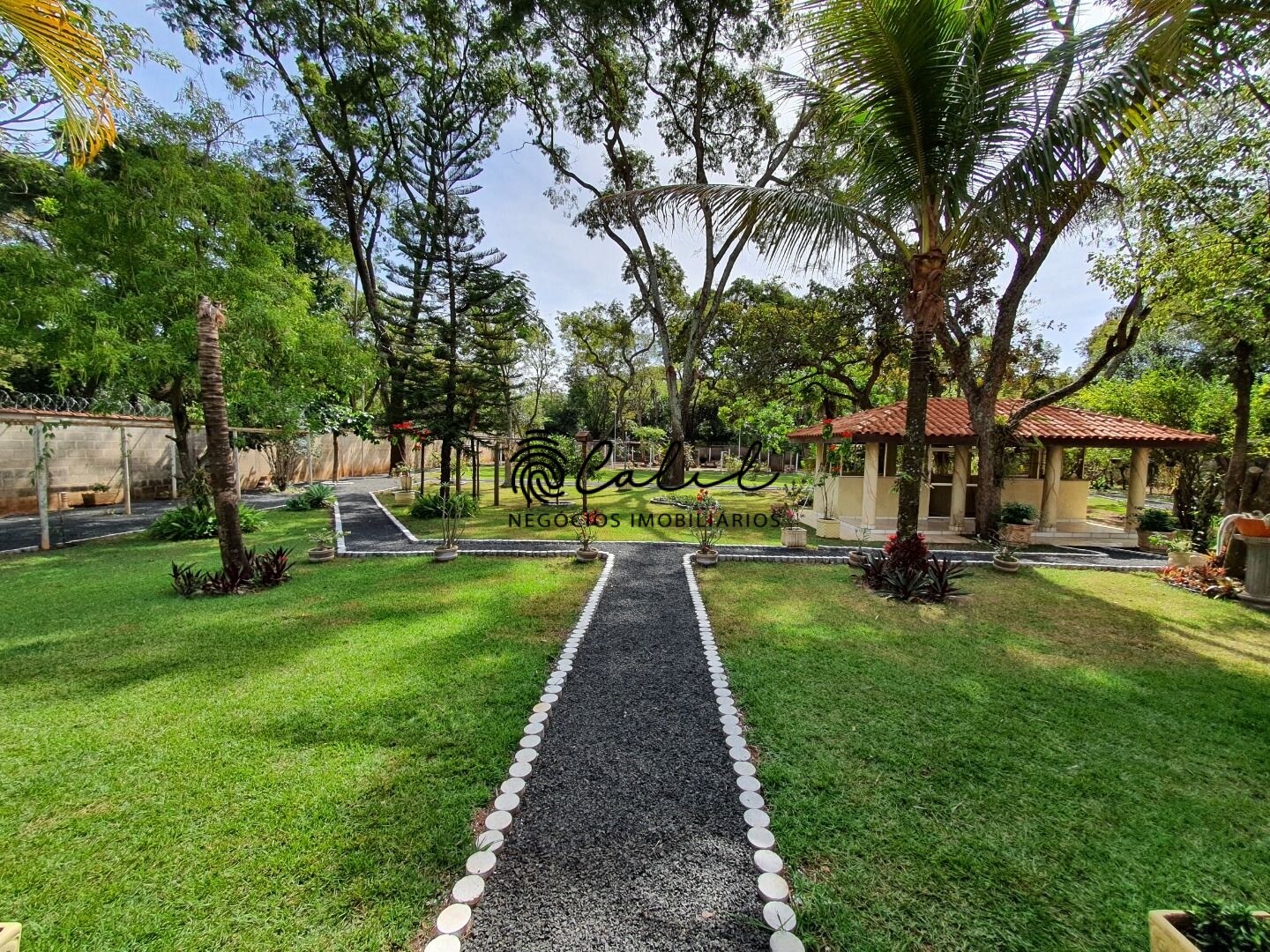 Fazenda à venda com 5 quartos, 690m² - Foto 15