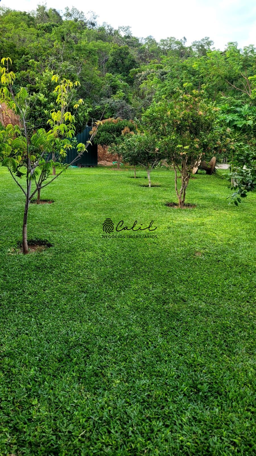 Chácara, 3 quartos, 2 hectares - Foto 39