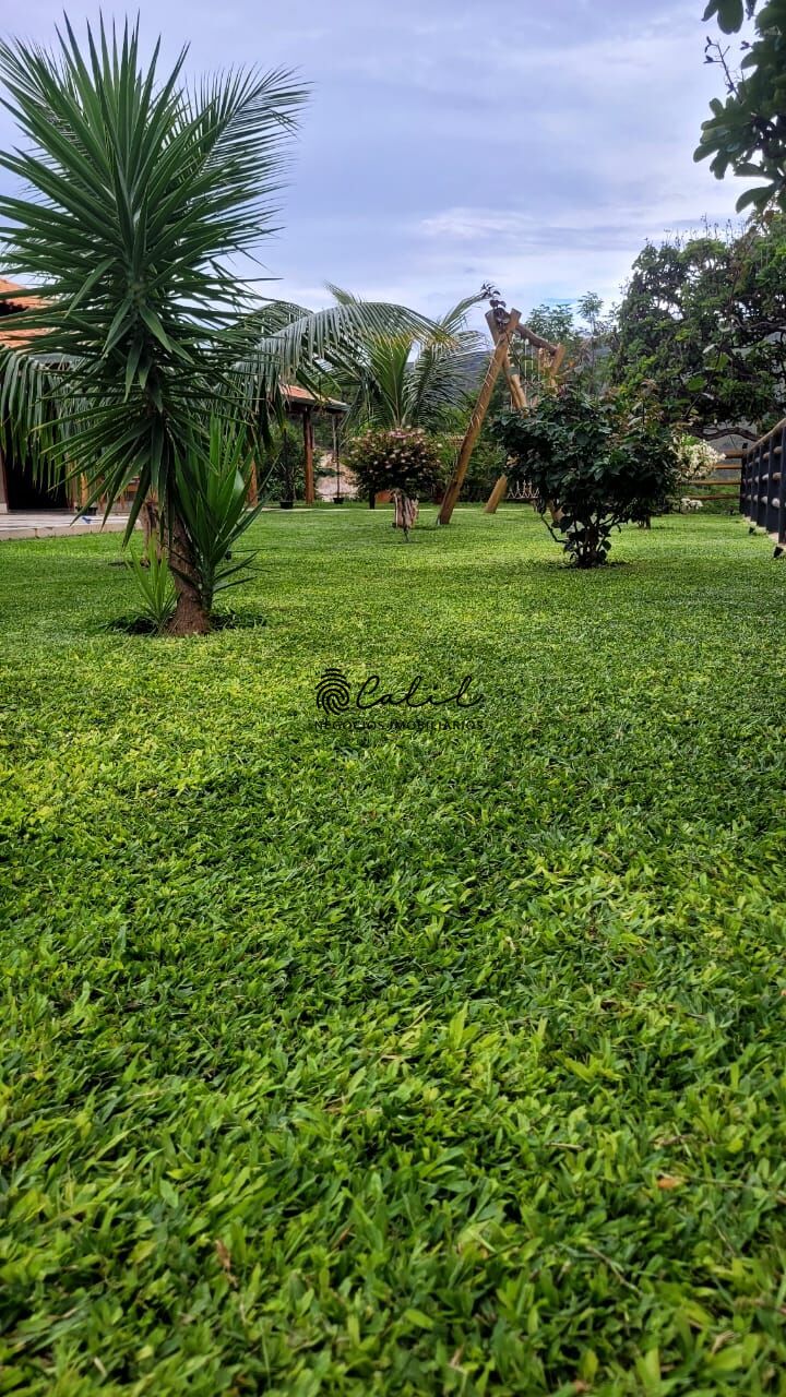 Chácara, 3 quartos, 2 hectares - Foto 28