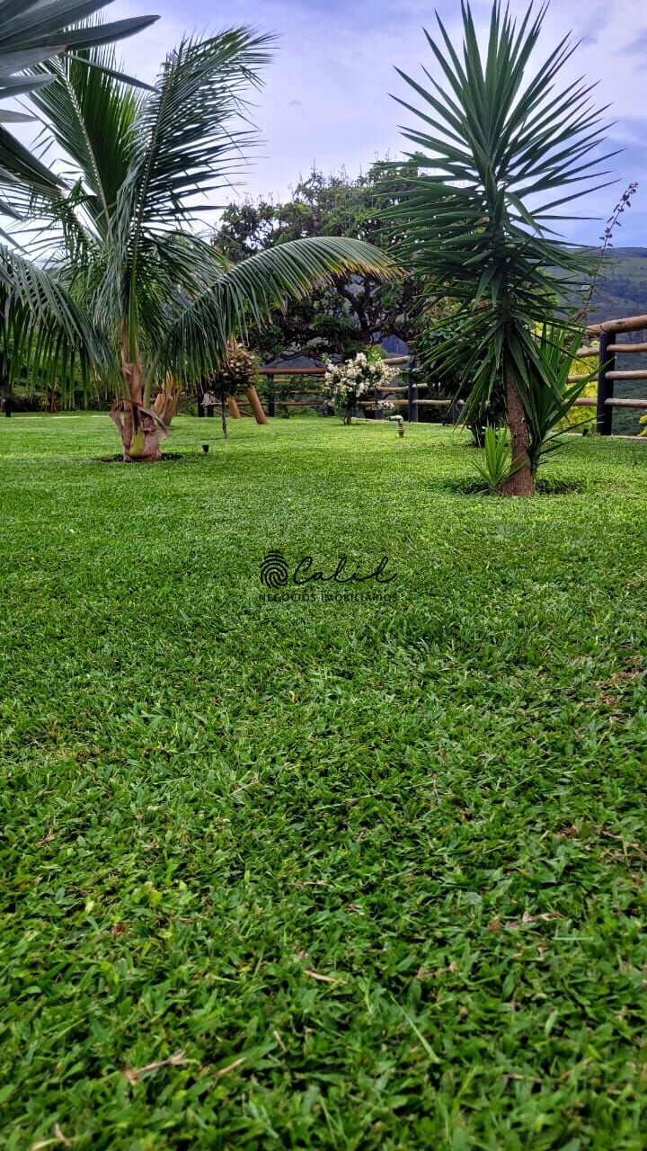 Chácara, 3 quartos, 2 hectares - Foto 25