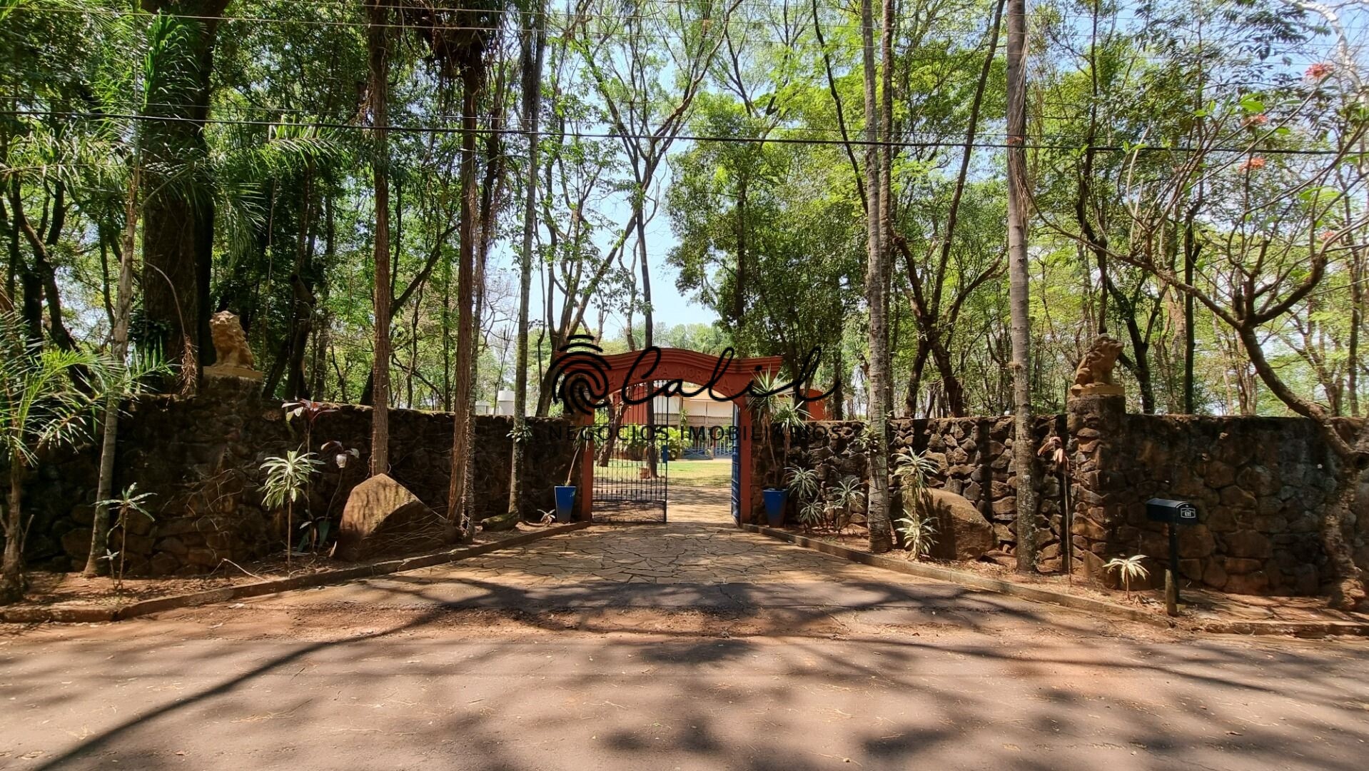 Fazenda à venda com 6 quartos, 800m² - Foto 8