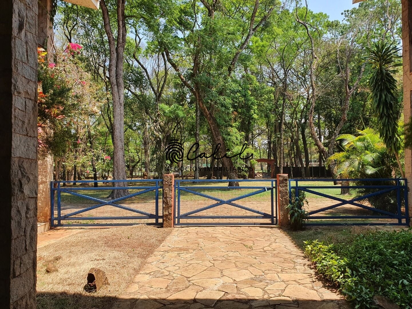 Fazenda à venda com 6 quartos, 800m² - Foto 32