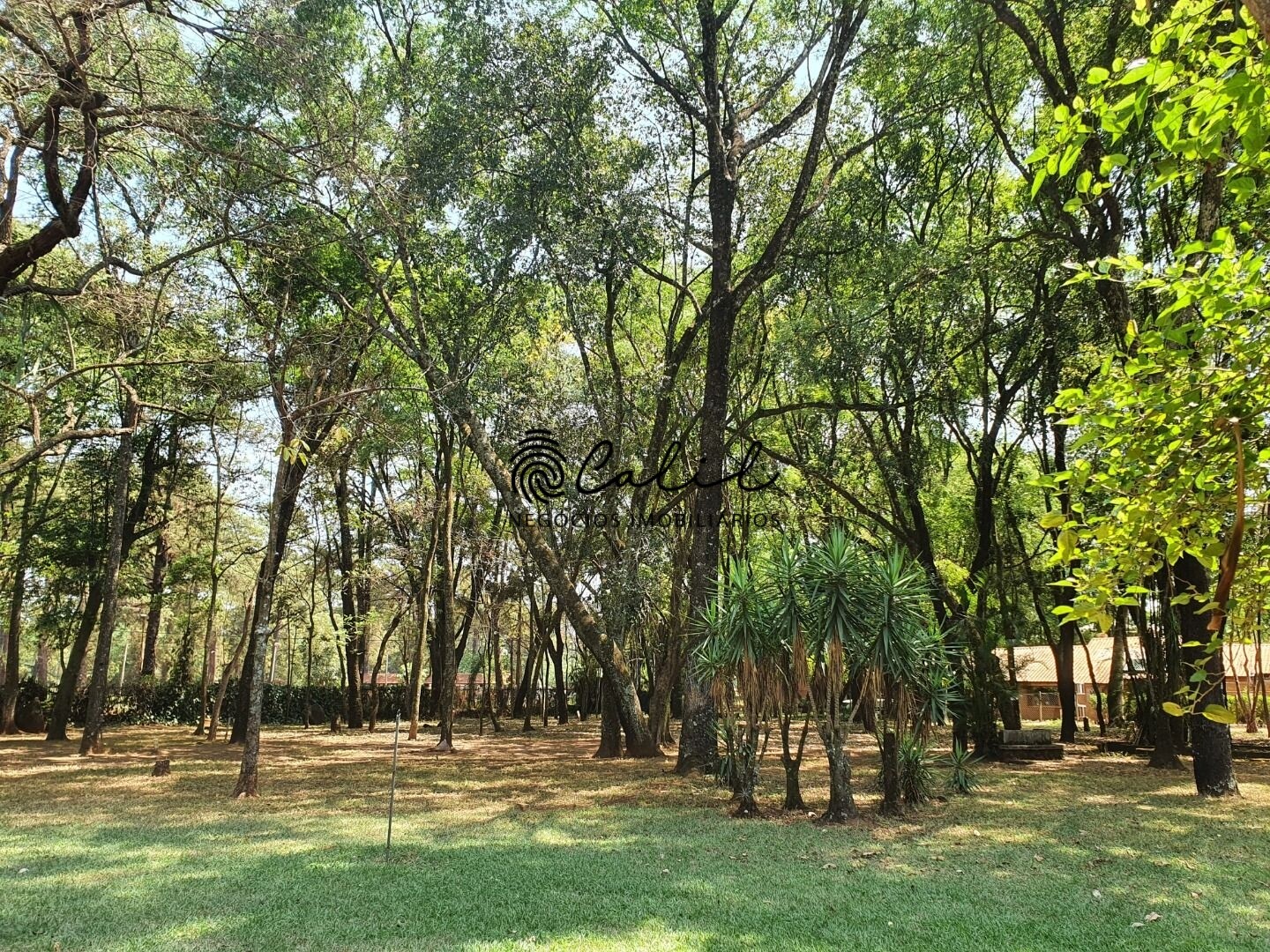 Fazenda à venda com 6 quartos, 800m² - Foto 18