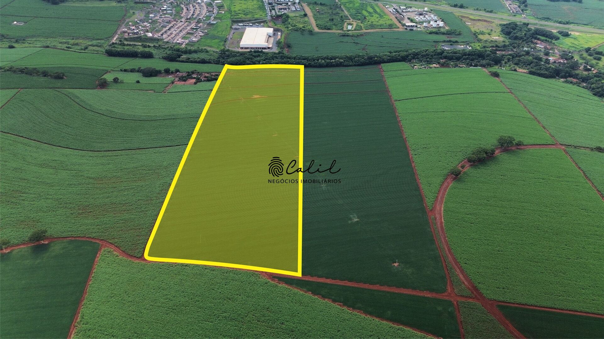 Fazenda à venda com 4 quartos, 1524600m² - Foto 4