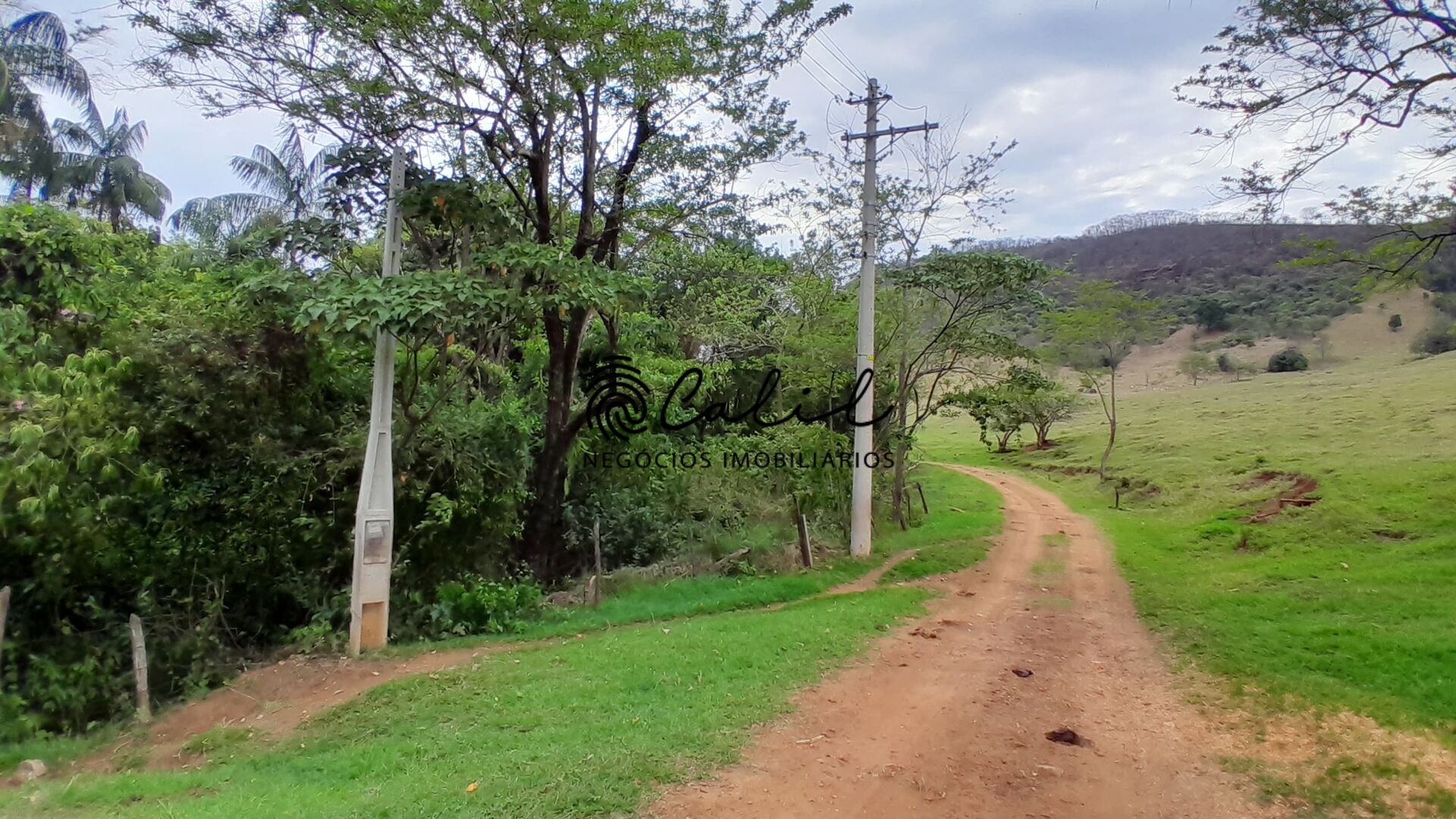 Fazenda à venda, 143700m² - Foto 13