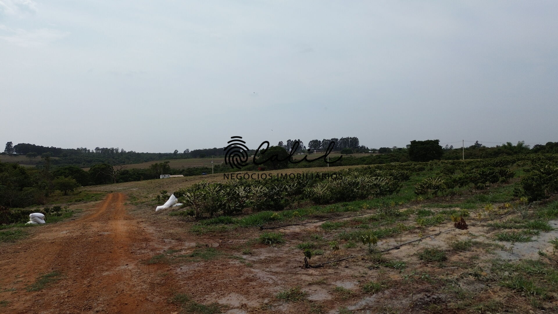 Fazenda à venda com 2 quartos, 236700m² - Foto 8