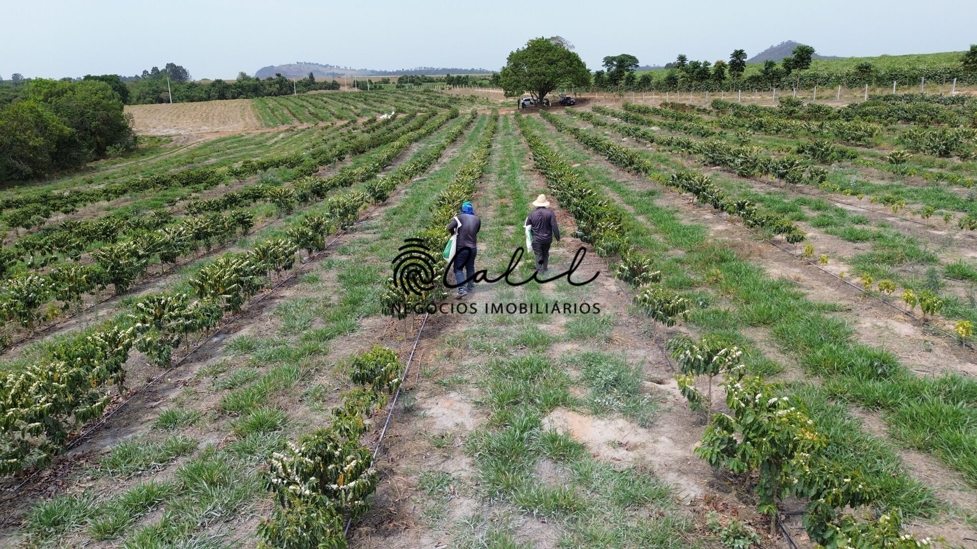 Fazenda à venda com 2 quartos, 236700m² - Foto 7