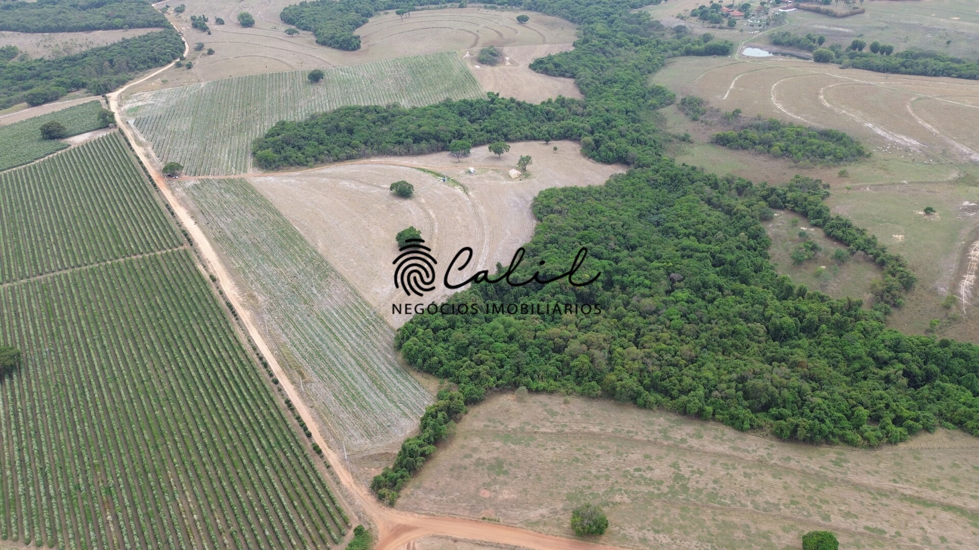 Fazenda à venda com 2 quartos, 236700m² - Foto 1