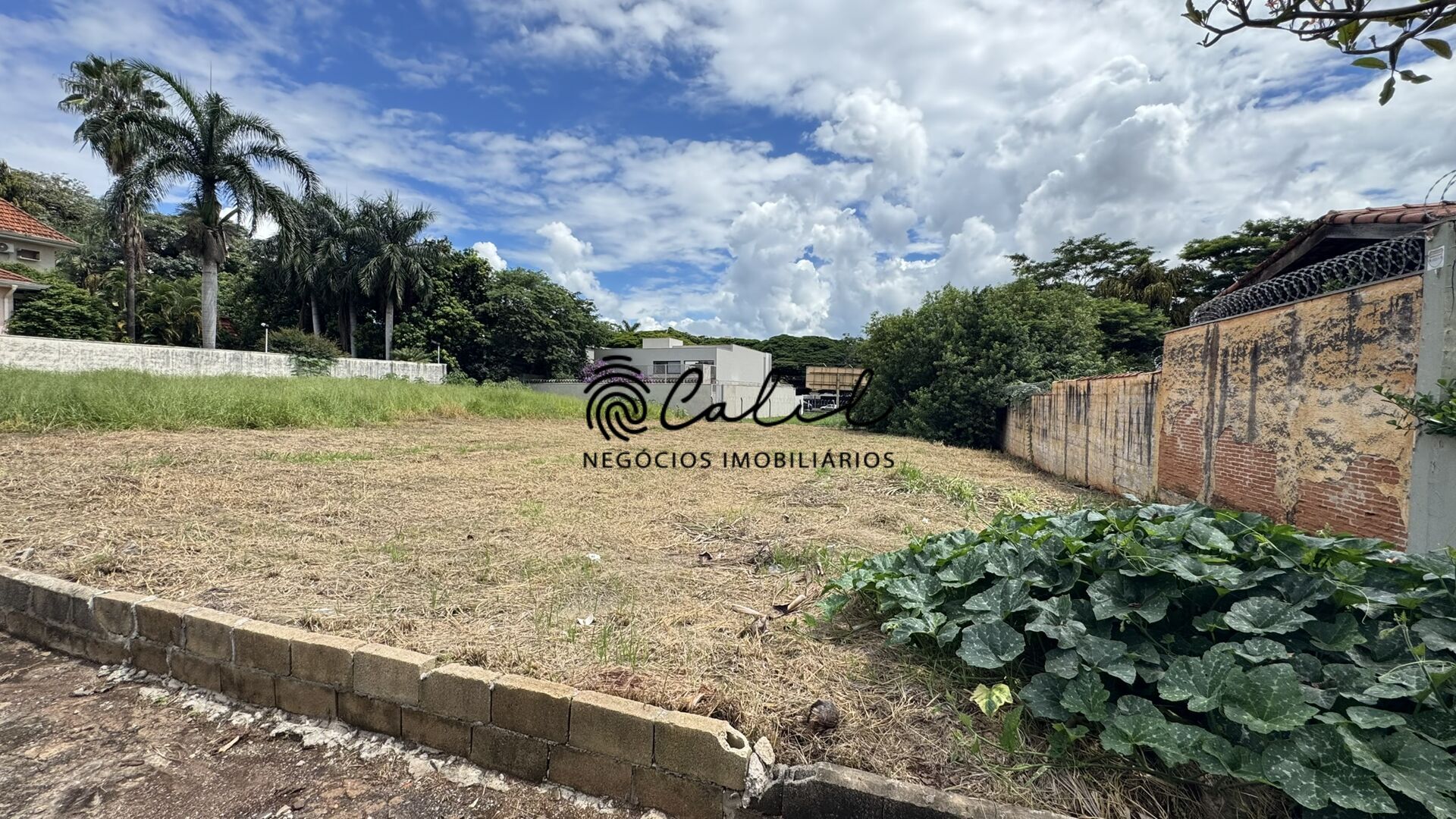 Terreno, 730 m² - Foto 2