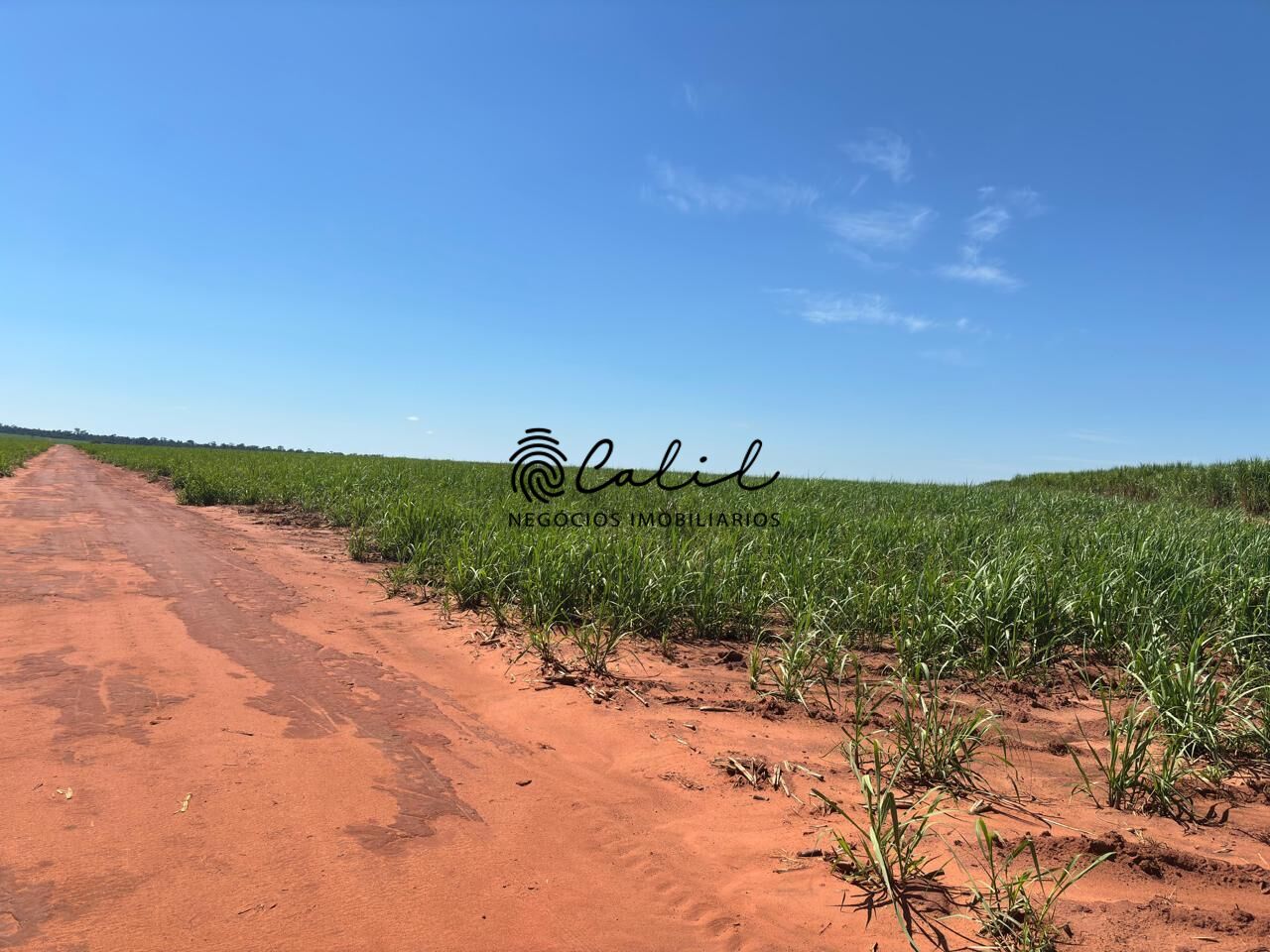 Fazenda-Sítio-Chácara, 956 hectares - Foto 7
