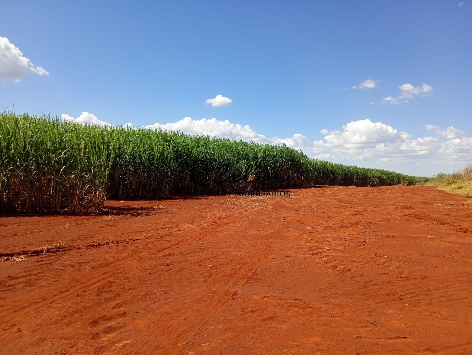 Fazenda-Sítio-Chácara, 956 hectares - Foto 11