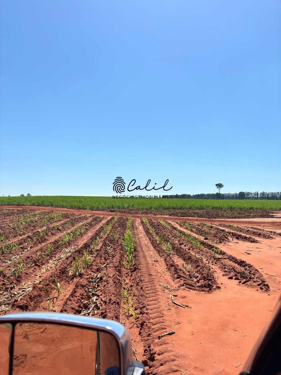 Fazenda-Sítio-Chácara, 956 hectares - Foto 6