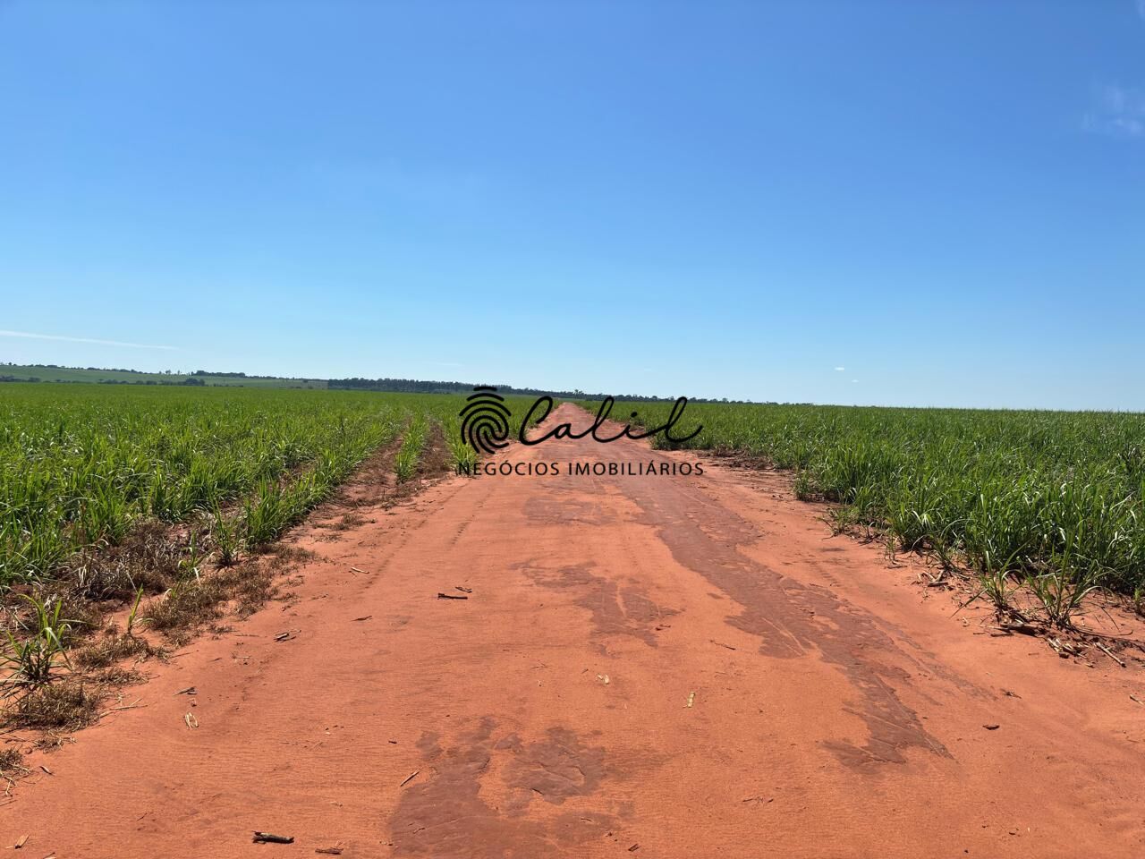 Fazenda-Sítio-Chácara, 956 hectares - Foto 5