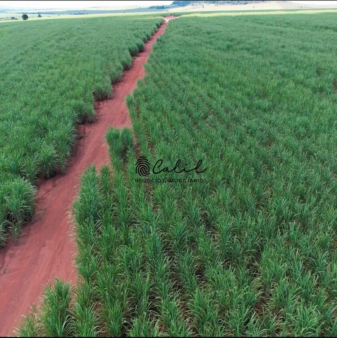 Fazenda-Sítio-Chácara, 956 hectares - Foto 2