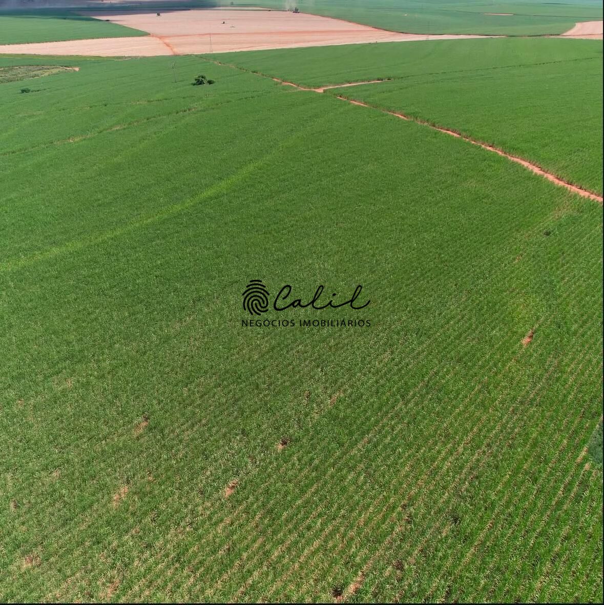 Fazenda-Sítio-Chácara, 956 hectares - Foto 1