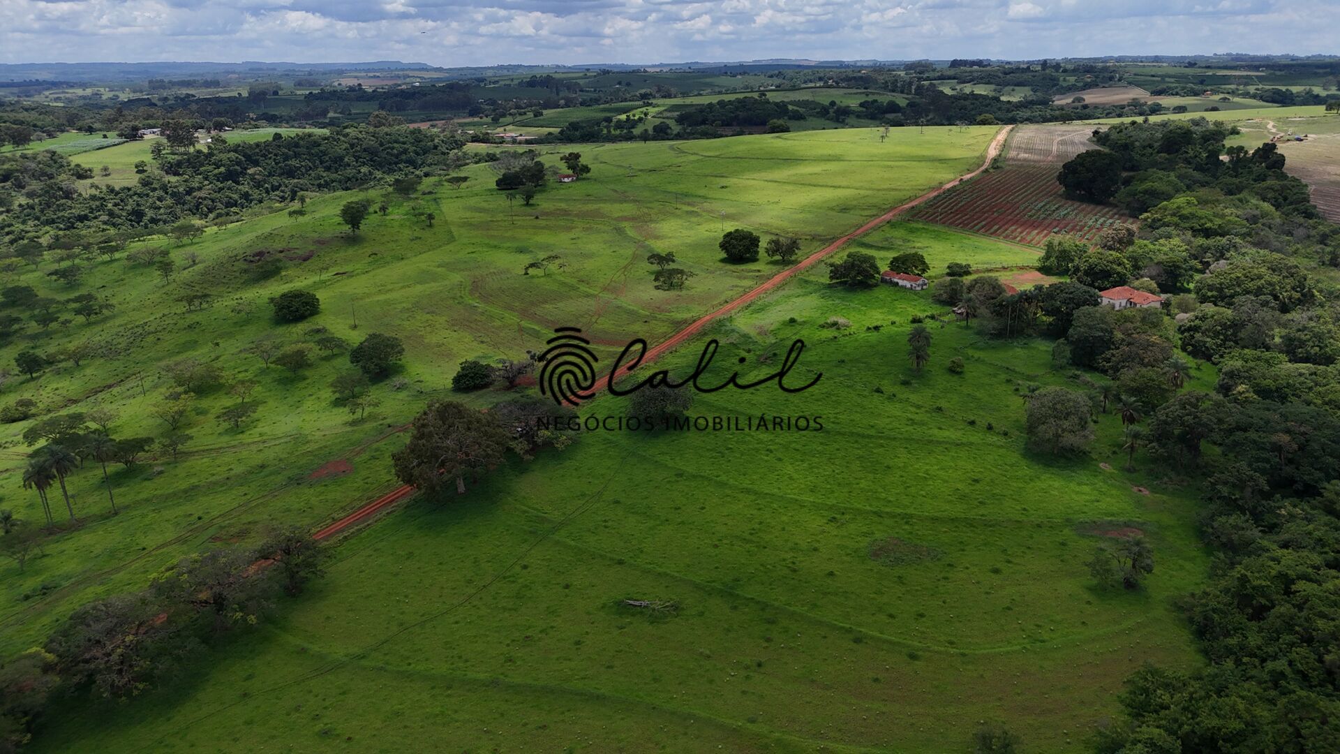 Fazenda, 76 hectares - Foto 10