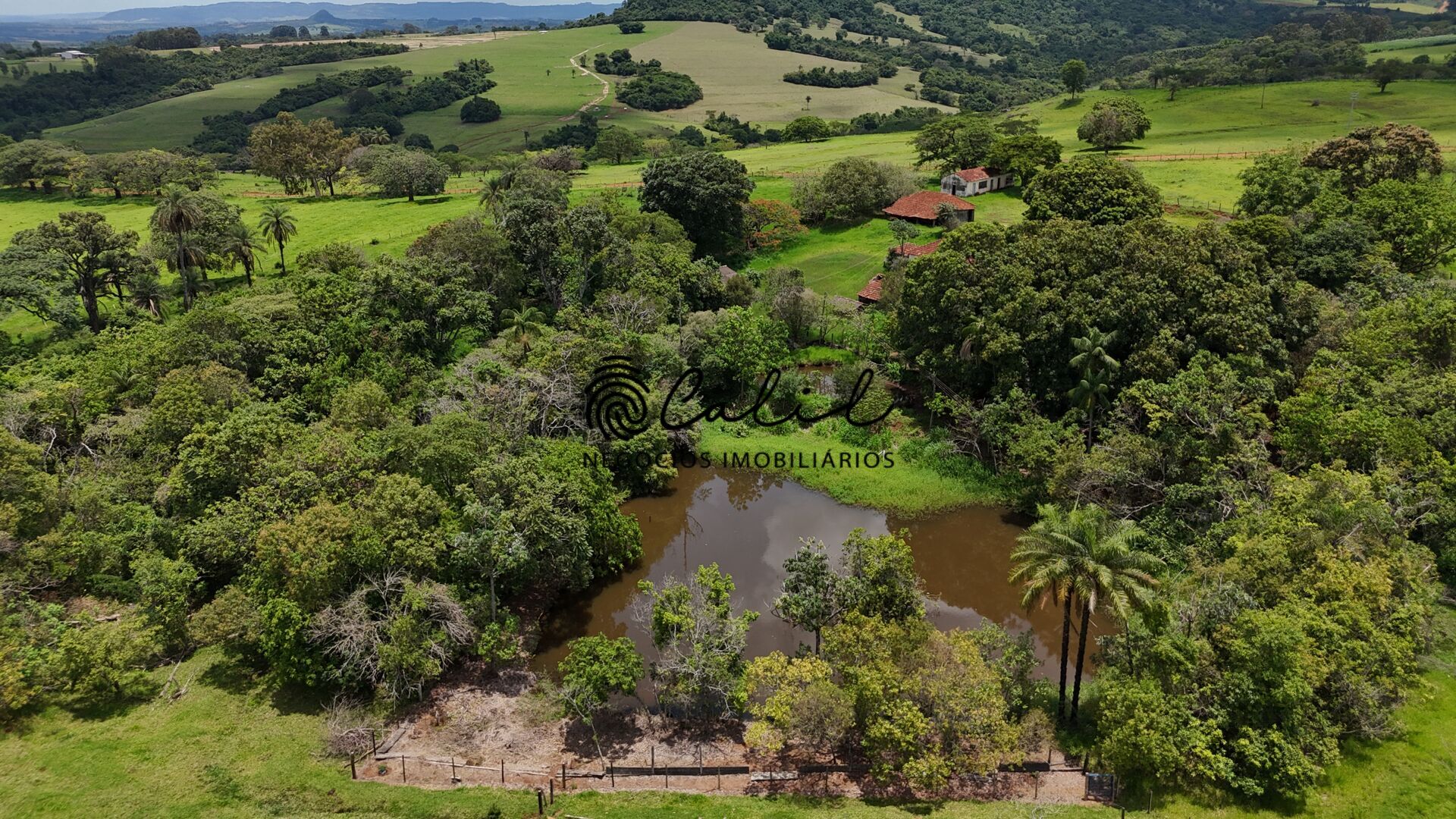 Fazenda, 76 hectares - Foto 7