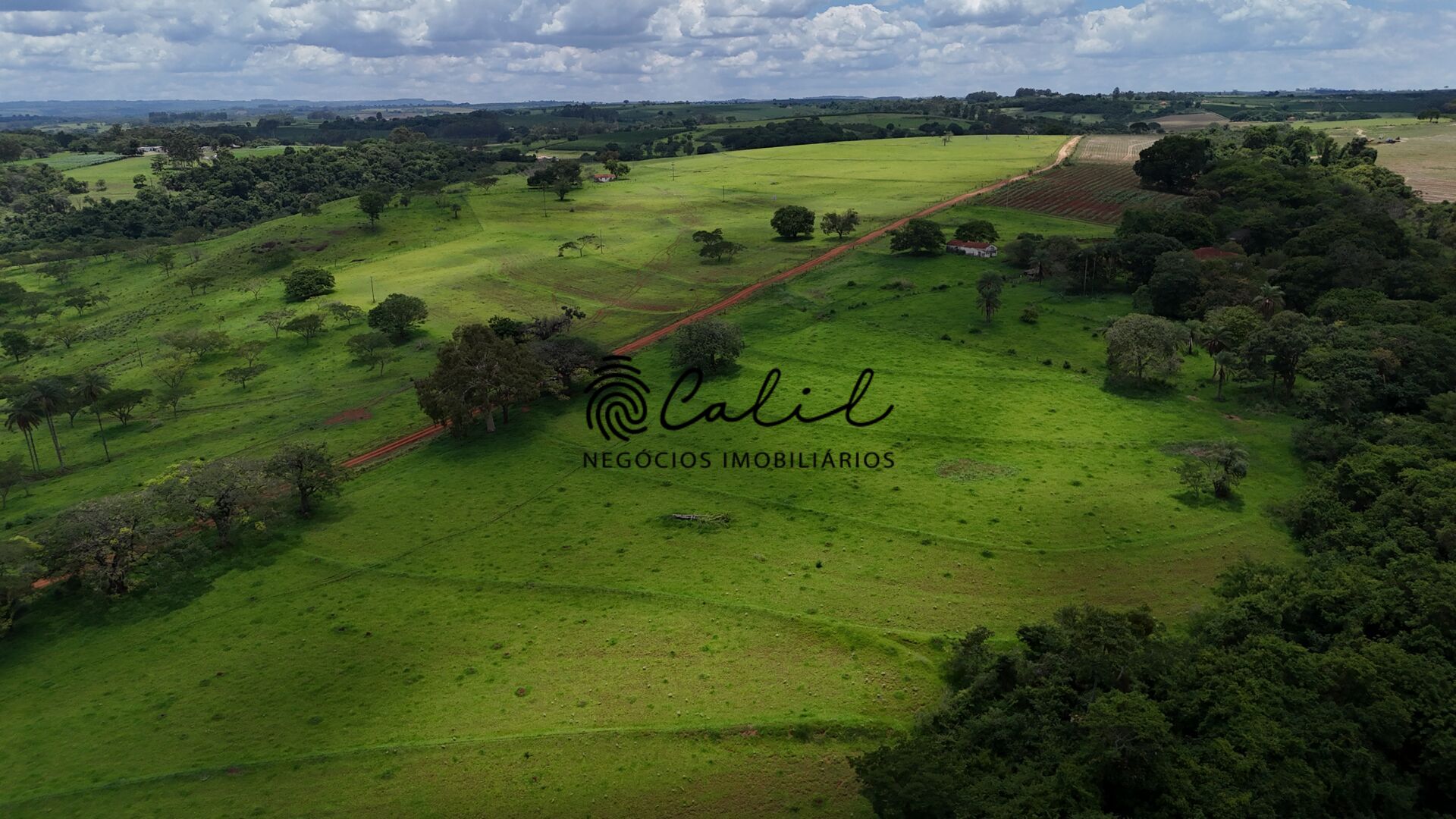 Fazenda, 76 hectares - Foto 8