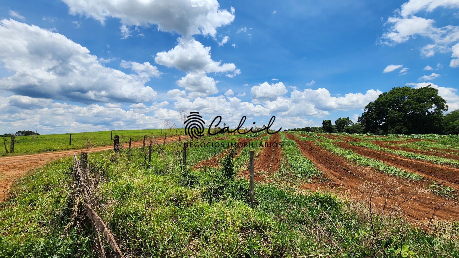 Fazenda, 76 hectares - Foto 25