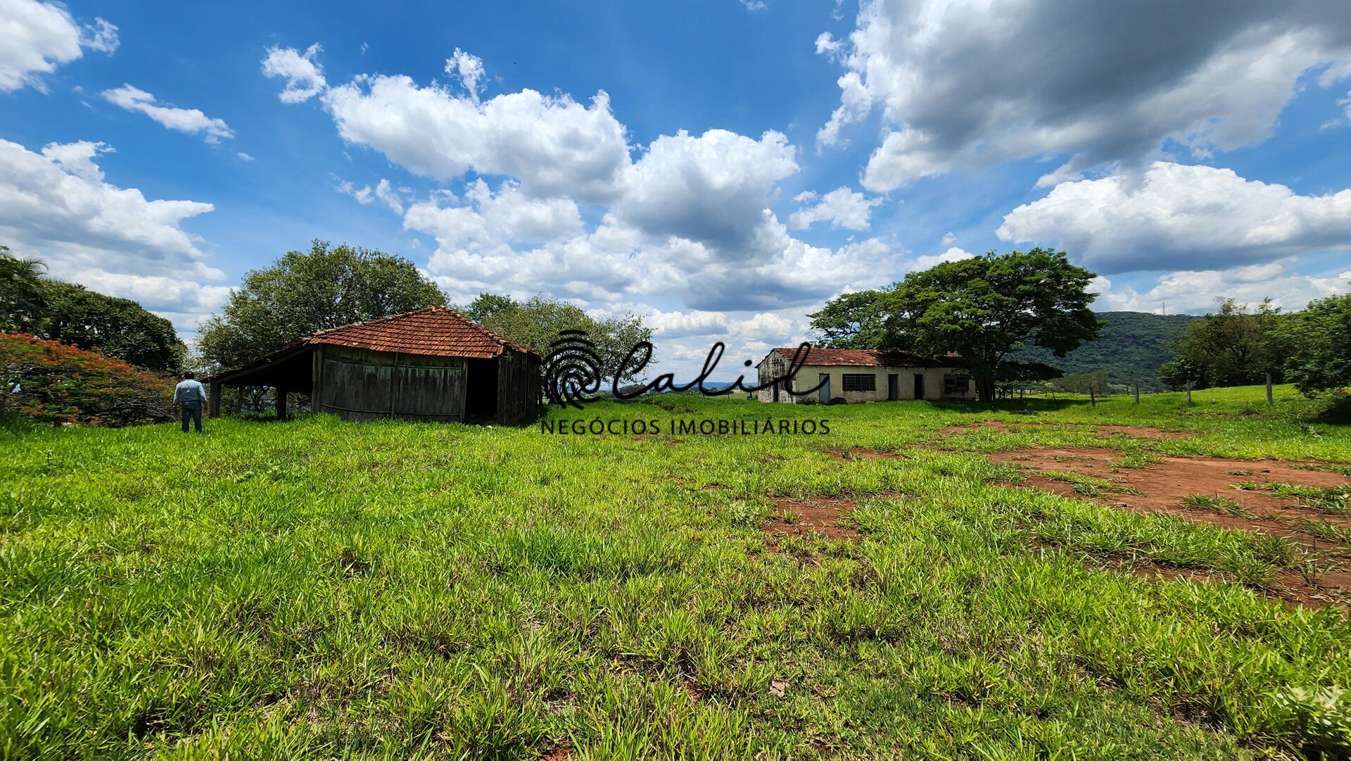 Fazenda, 76 hectares - Foto 34