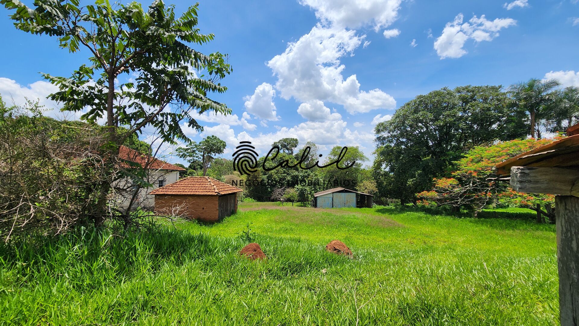 Fazenda, 76 hectares - Foto 37