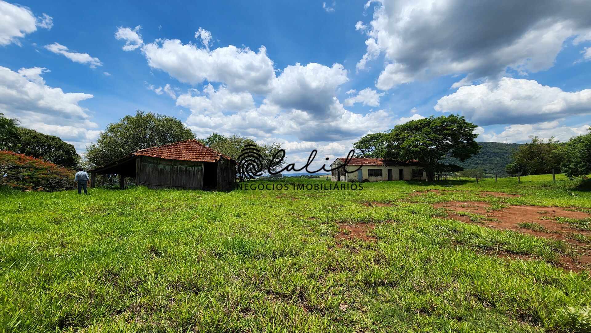 Fazenda, 76 hectares - Foto 35