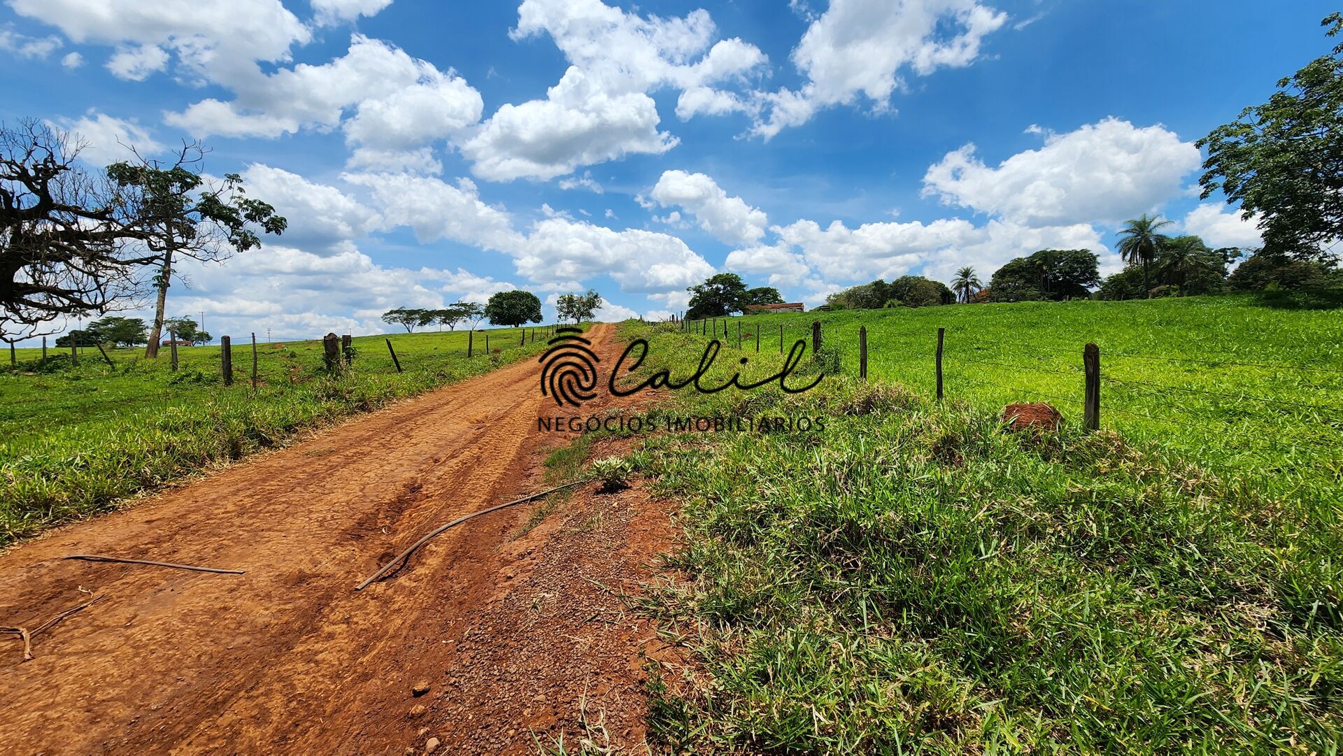 Fazenda, 76 hectares - Foto 19