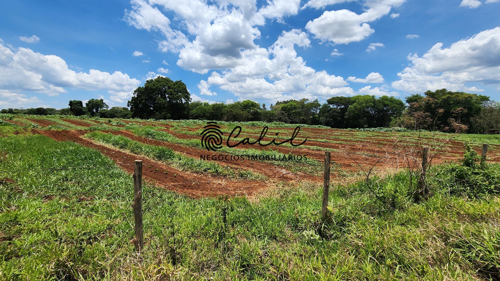 Fazenda, 76 hectares - Foto 23