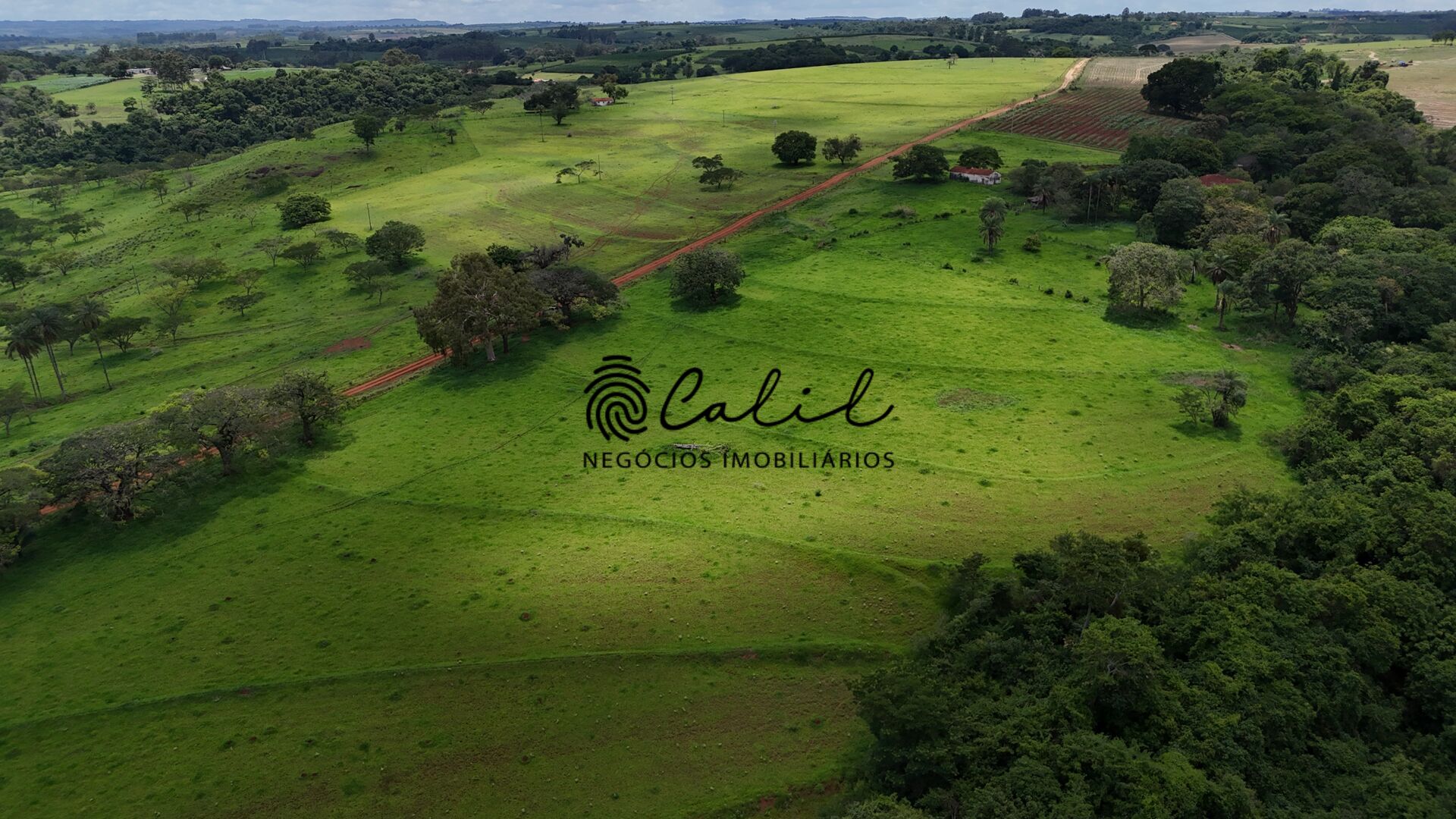 Fazenda, 76 hectares - Foto 9