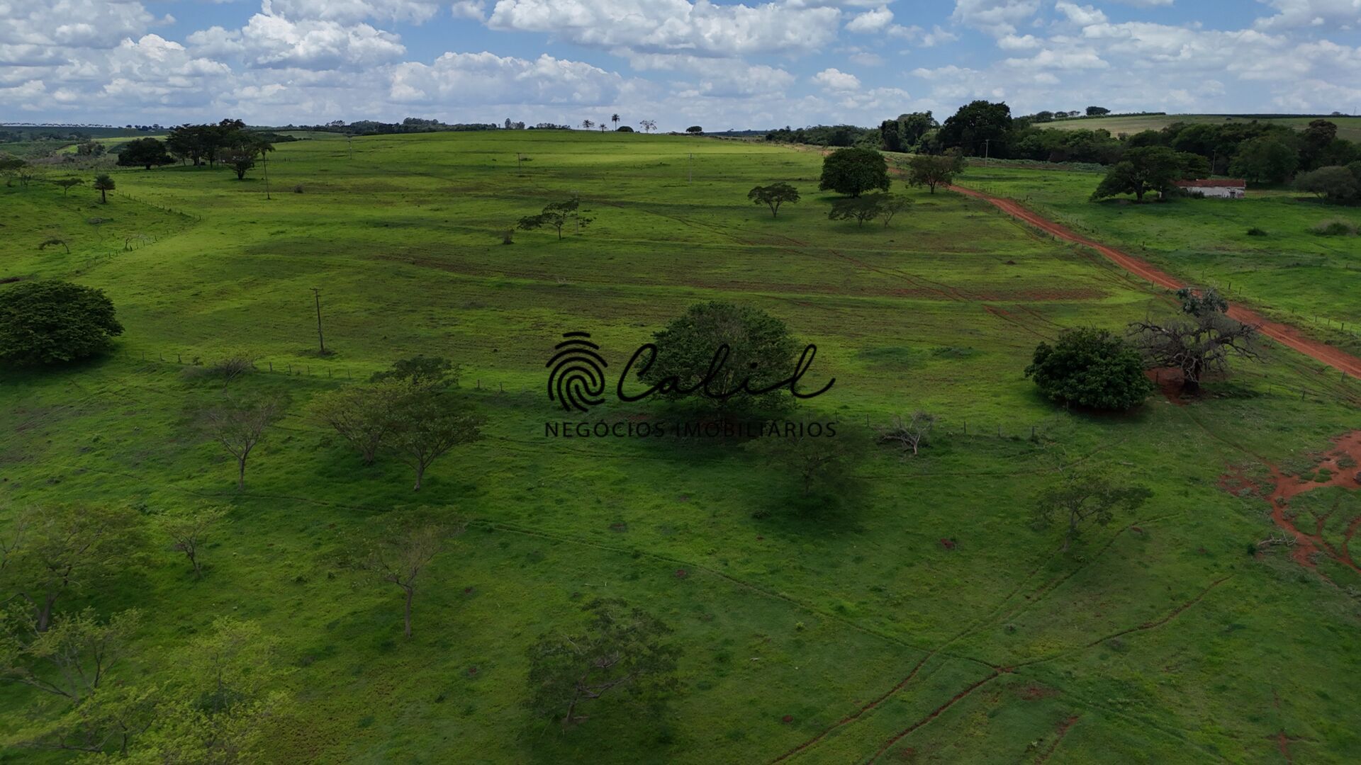 Fazenda, 76 hectares - Foto 12