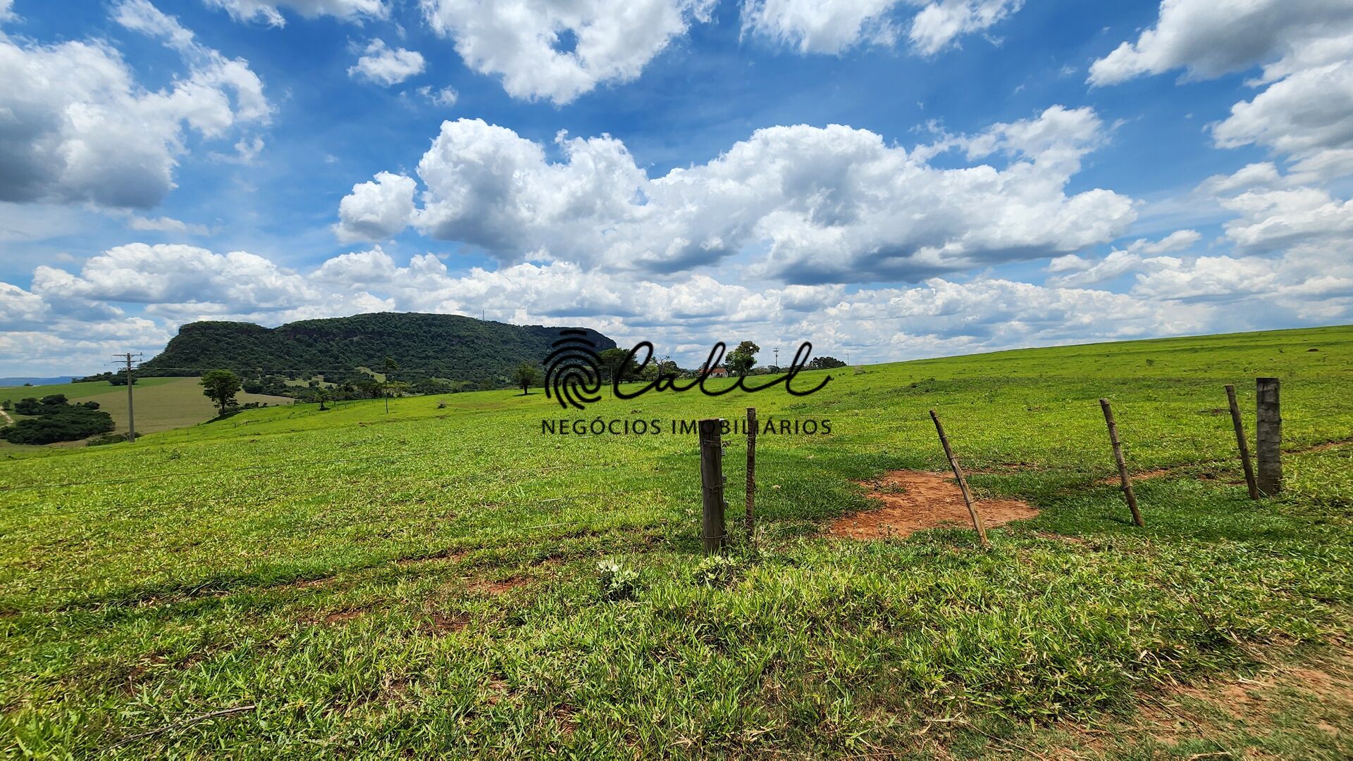 Fazenda, 76 hectares - Foto 21