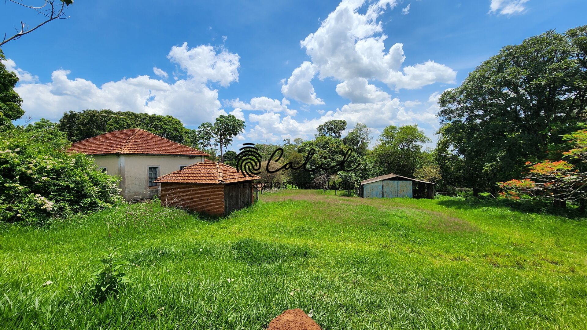 Fazenda, 76 hectares - Foto 38
