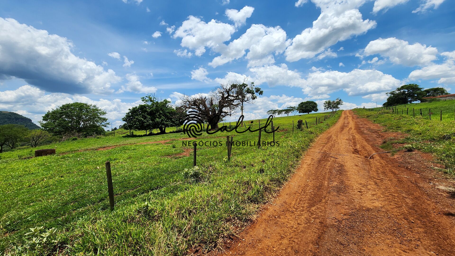 Fazenda, 76 hectares - Foto 17
