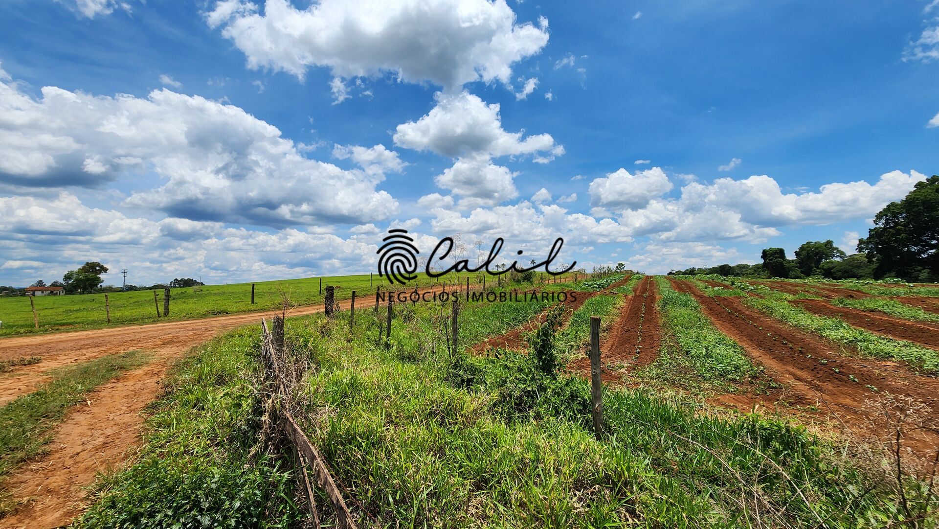 Fazenda, 76 hectares - Foto 24