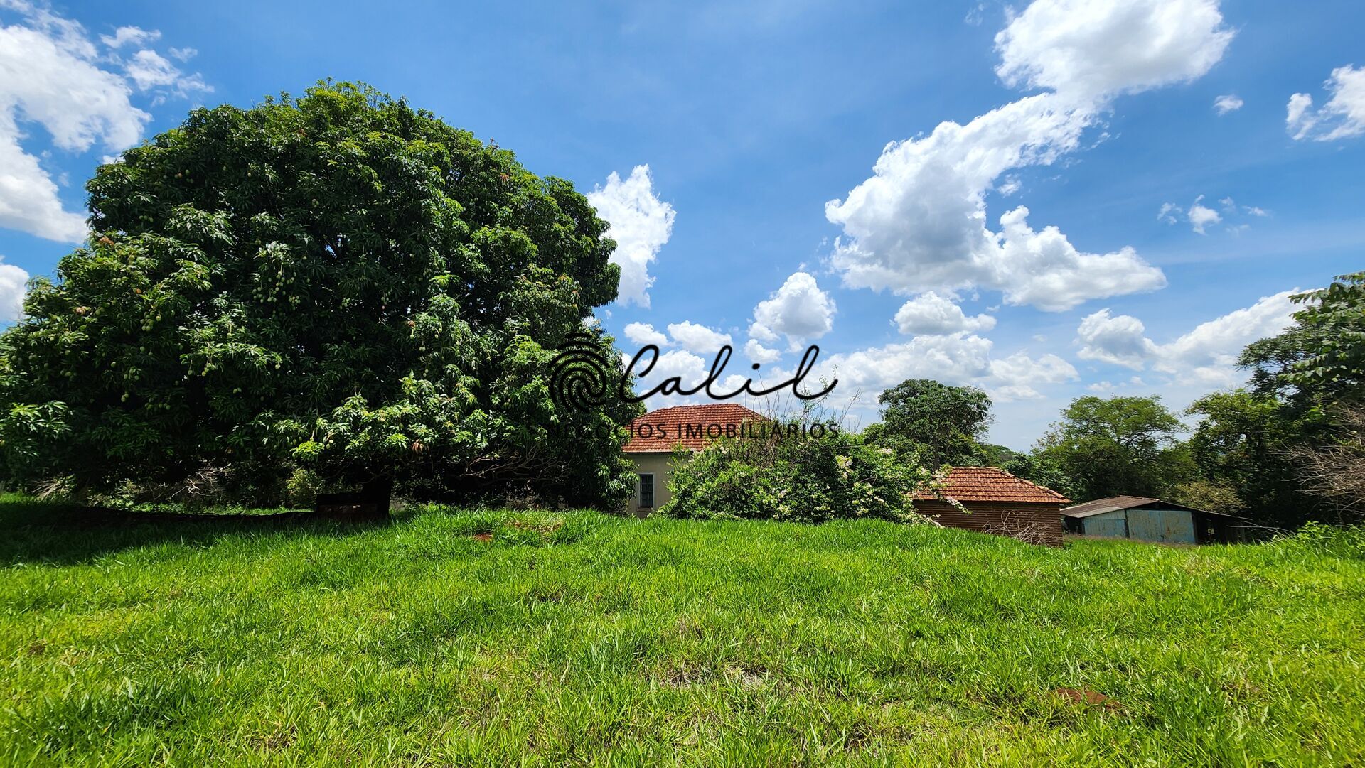 Fazenda, 76 hectares - Foto 36