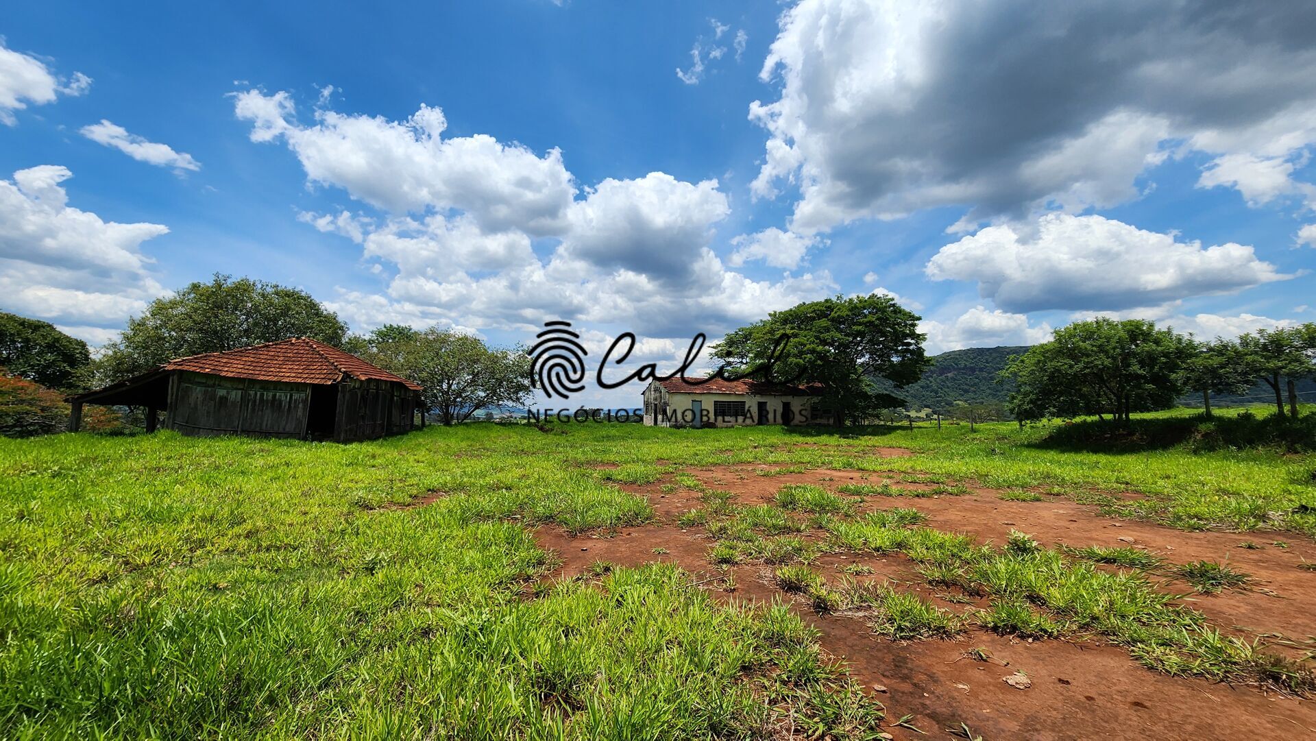 Fazenda, 76 hectares - Foto 31